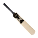 Cricket Bat