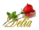 Delia with Red Rose