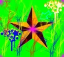 stars
