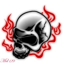 Skull