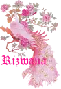 Rizwana's pink peacock