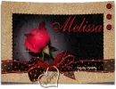 Melissa