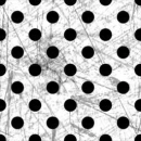 White and Black polka dots