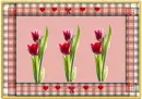 Tulip