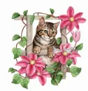 cute kitty