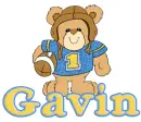 teddy bear football gavin