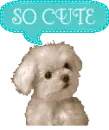 SO CUTE