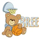 teddy bear basketball bree