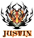 tiger justin
