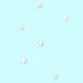 the star