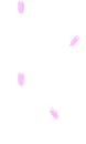 pink leave