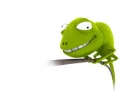 Lizzard