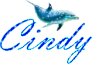 cindy dolphins