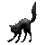 Black cat got scared