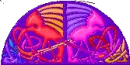 cool colors