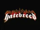 hatebreed