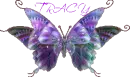tracy butterfly