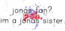 jonas brothers fan
