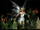 Fantasy