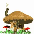 Mushroom House