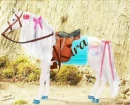Kira's Horse