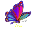 iris
