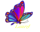 laurel