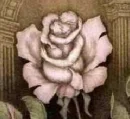 THE KISSING COUPLE ROSE