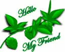 Hello friend