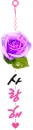 rose