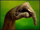 Have a Great Day - Hand Animals