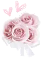 PINK FLOWERS
