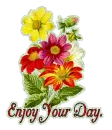Enjoy you day