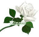 Minnie