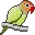 birds