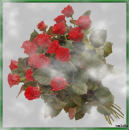 rose for ...