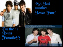 jb fanatic