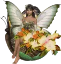 Fairy