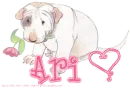 Ari