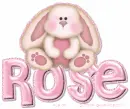 rose