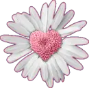 flower heart