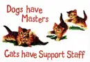 Cats 