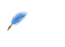 Diego with Blue Ink & Feather