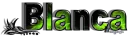 Blankiss