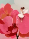 ORCHID FAIRY