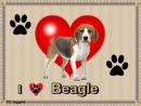 I luv my Beagle