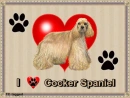 I luv my Cocker Spaniel