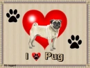 I luv my Pug