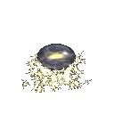 glitter divider