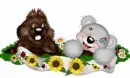 creddy bear